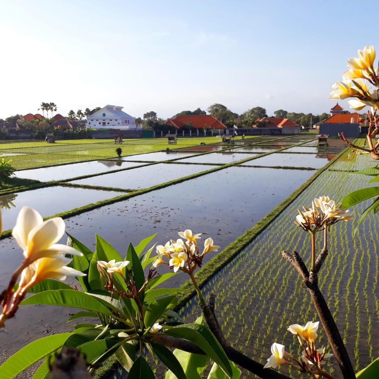 The Avani Villas Kuta Lombok Extérieur photo